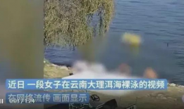 裸泳视频,一场视觉与心理的双重冲击