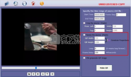 gif转视频,瞬间变永恒，捕捉动态之美